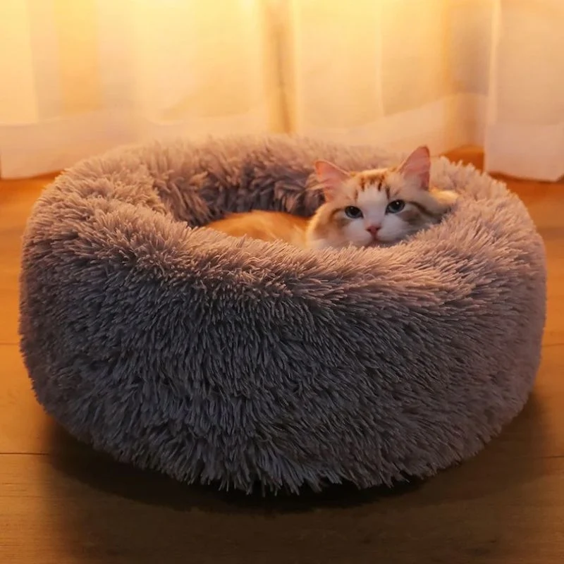 Coussin pour chat - Douillet