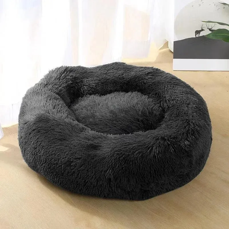 Coussin pour chat - Douillet