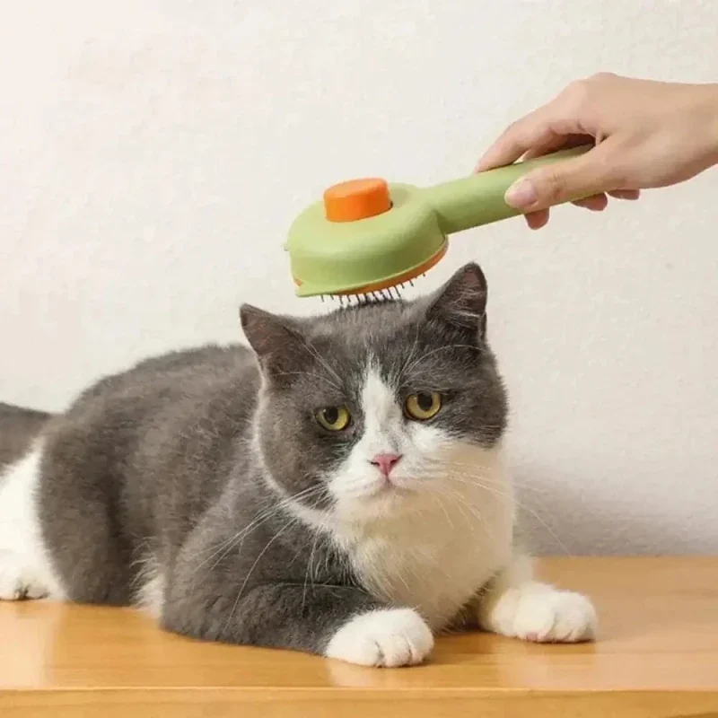 Brosse autonettoyante chat - Poils enlevés en 1 clic | EasyPurr