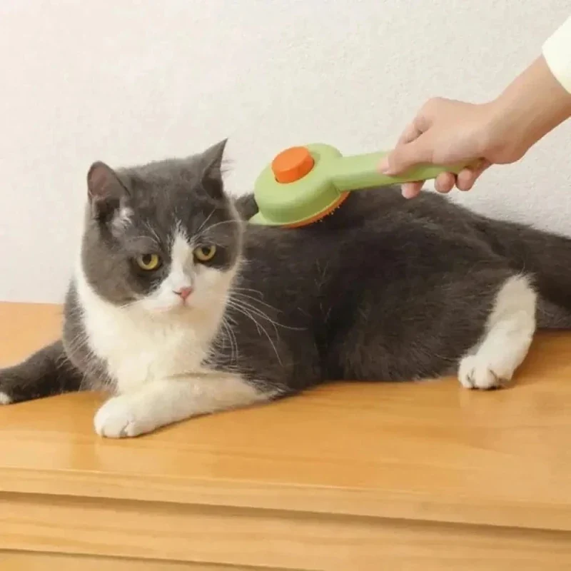 Brosse autonettoyante chat - Poils enlevés en 1 clic | EasyPurr