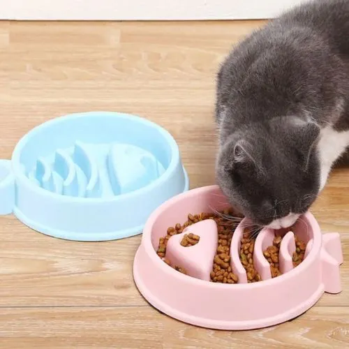 gamelle anti glouton| REPAS LENT