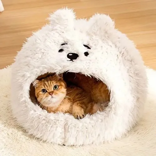 grotte chat | DODO'ANIMO