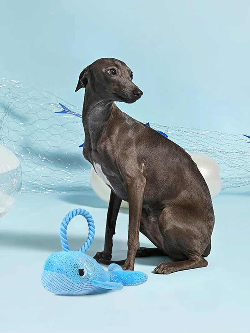 Peluche pour chien - Ocean Pals Baleine 🐳 - HugSmart