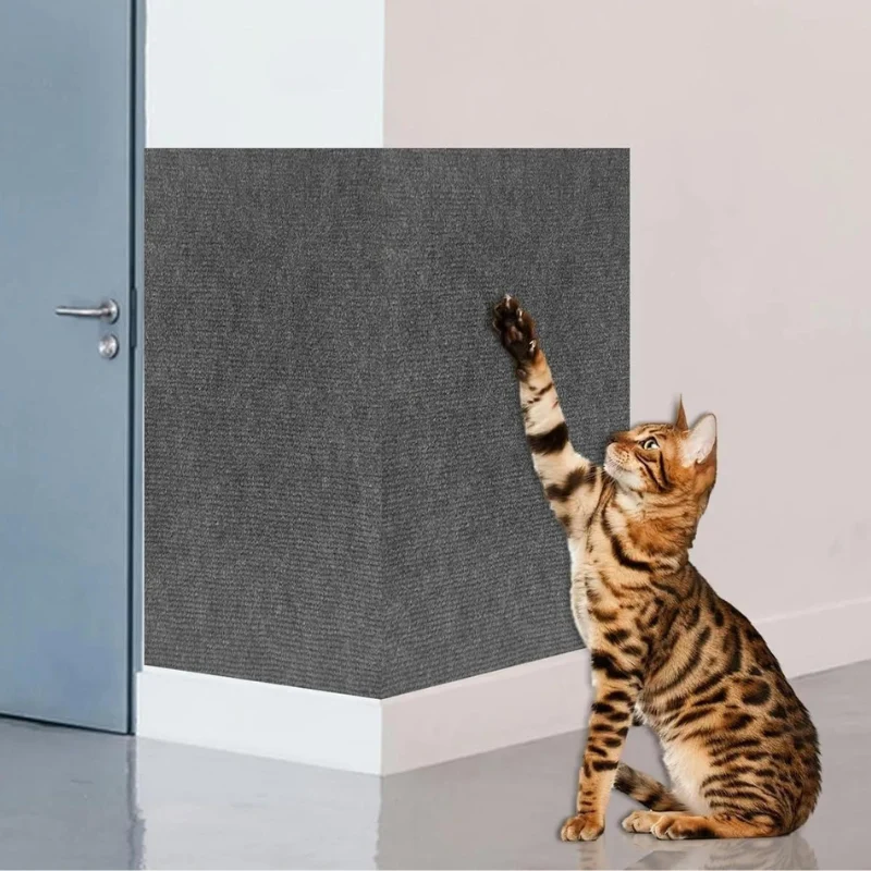 Griffoir pour chat - Autocollant