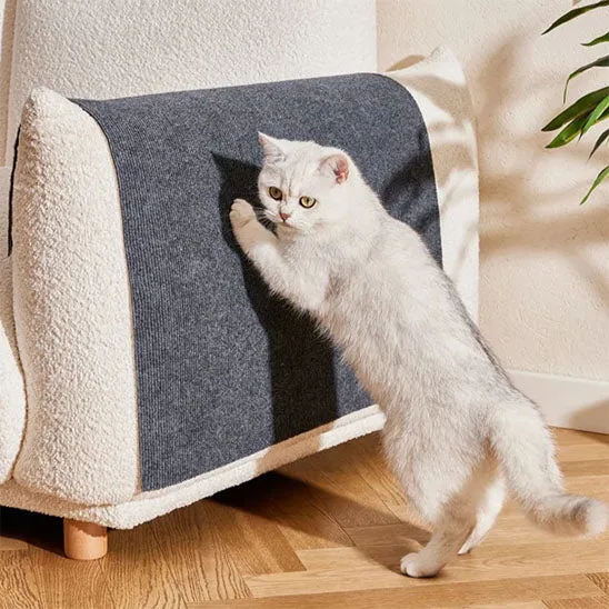 Griffoir pour chat - Autocollant