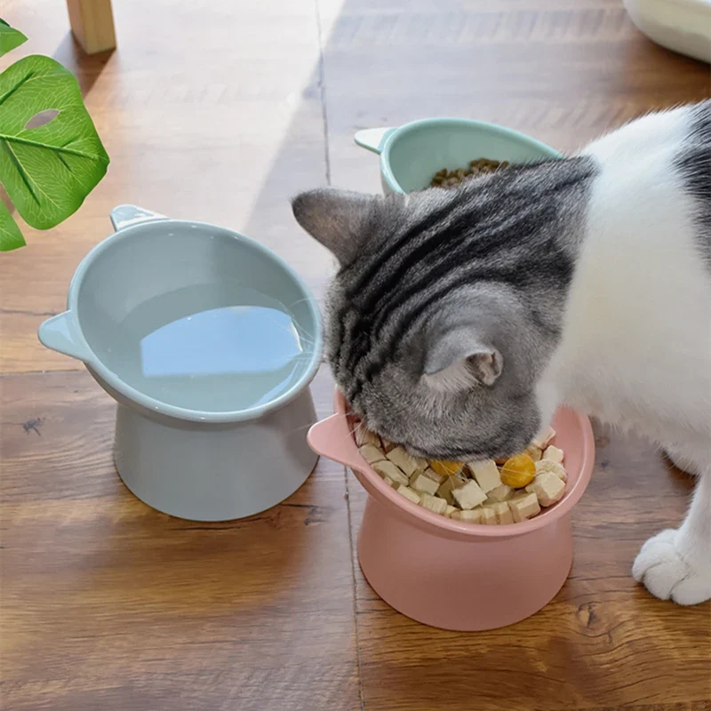 Gamelle chat surélevée - Cat Feeder Bowl