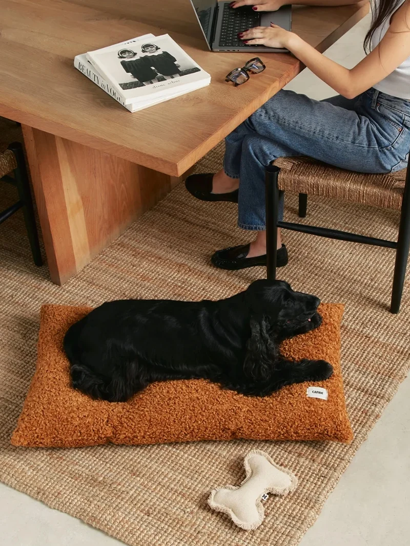 Coussin pour chien Bela - Bouclette moutarde - Cafide
