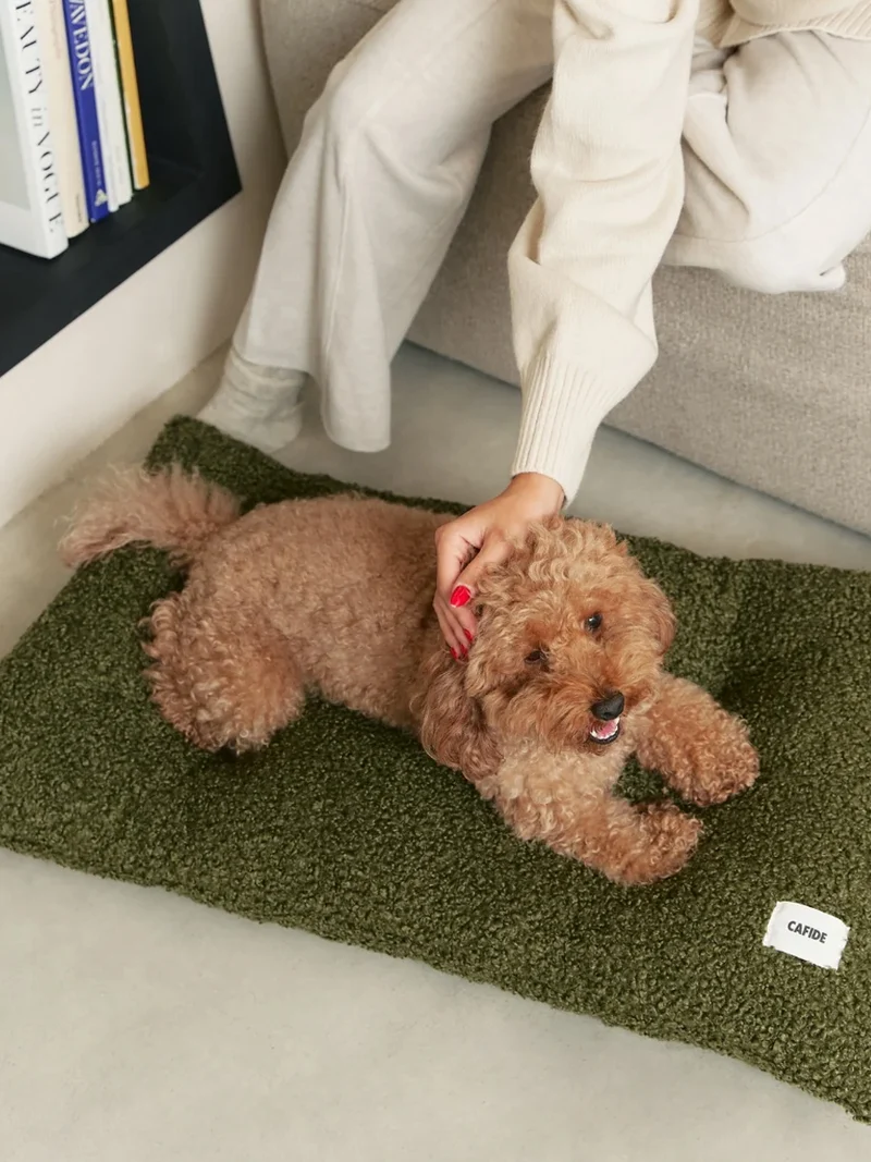 Coussin pour chien Bela - Bouclette vert - Cafide