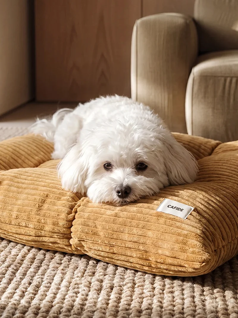 Coussin pour chien Bela - Velours côtelé moutarde - Cafide