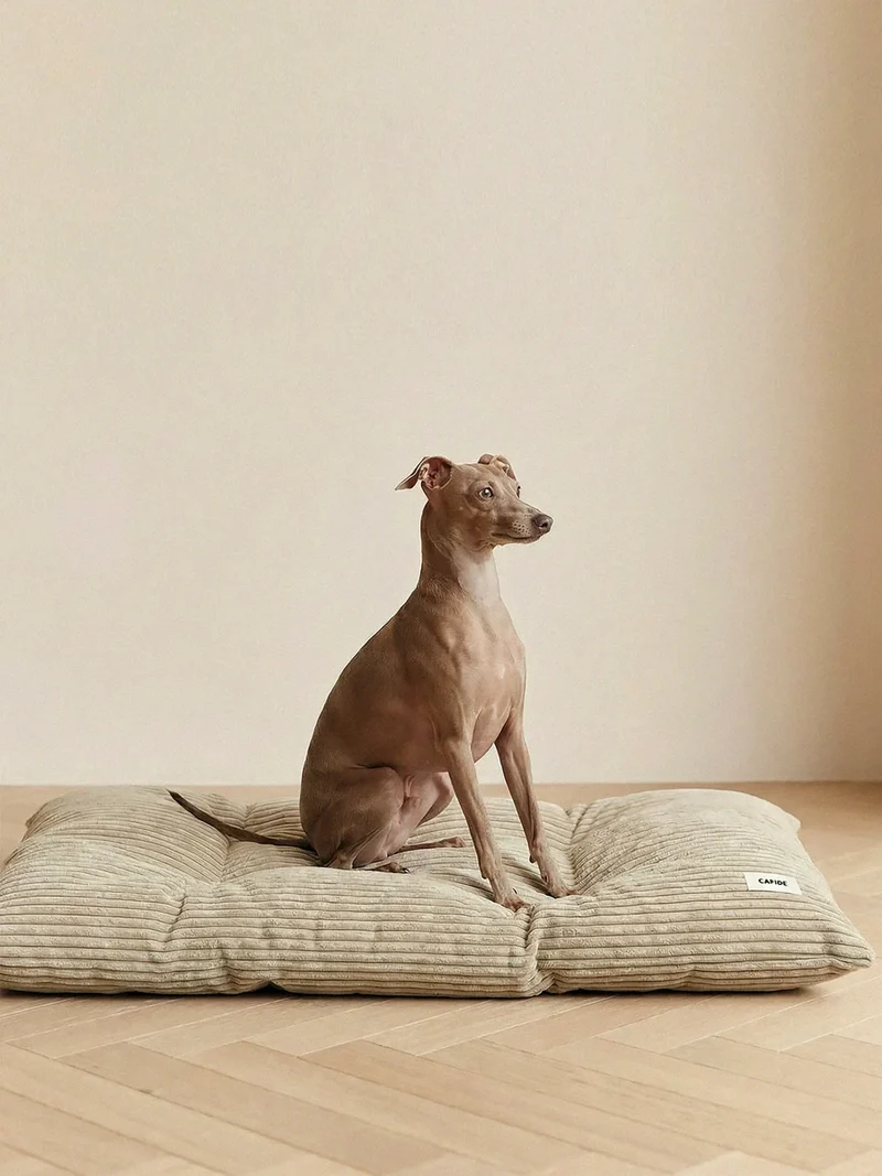 Coussin pour chien Bela - Velours côtelé beige - Cafide
