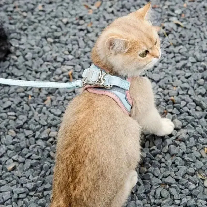 Harnais chat anti-fugue - Sécurité renforcée | FeliWay