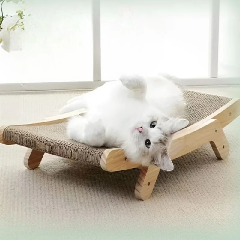 griffoir chat carton | LIT GRIFF'