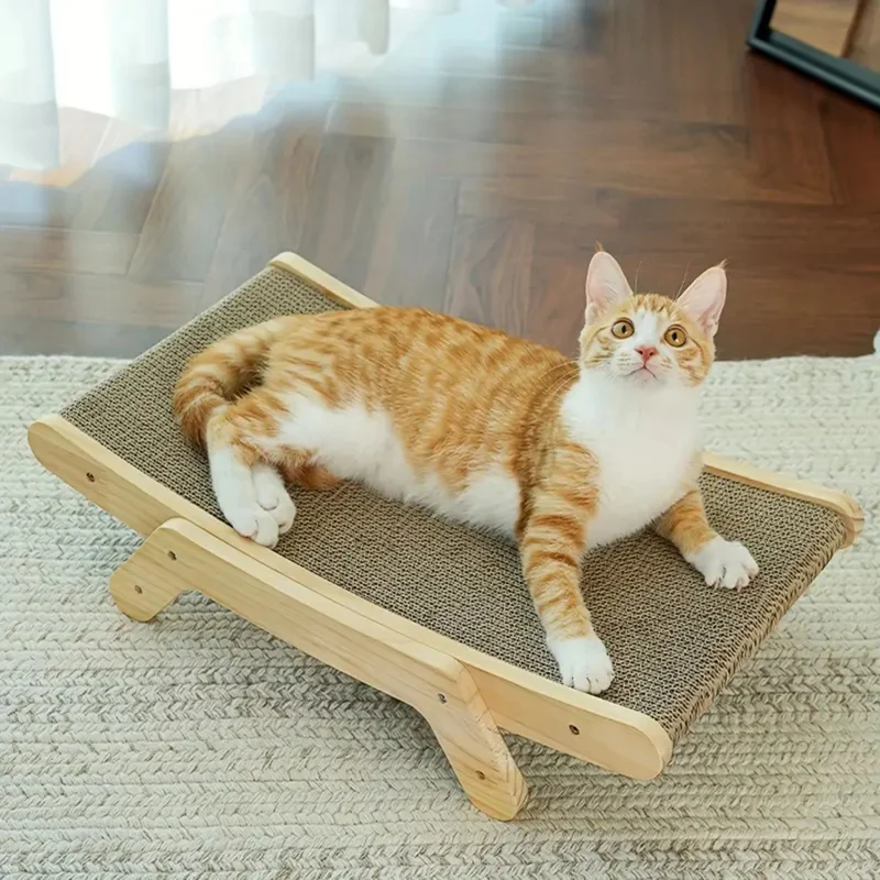griffoir chat carton | LIT GRIFF'