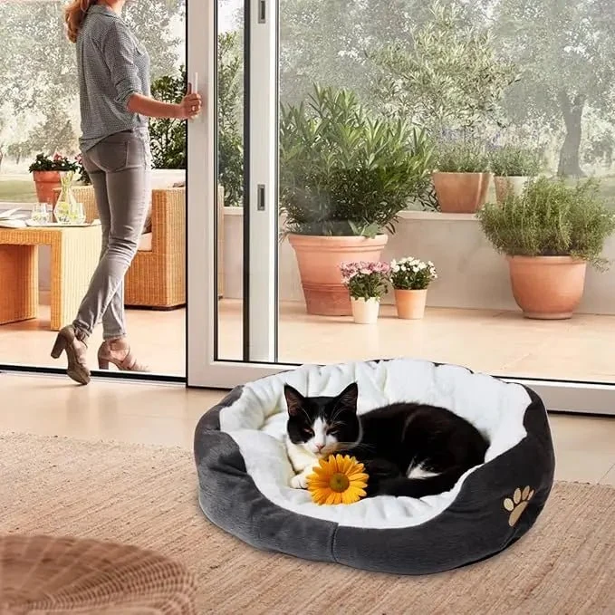 panier chat patte
