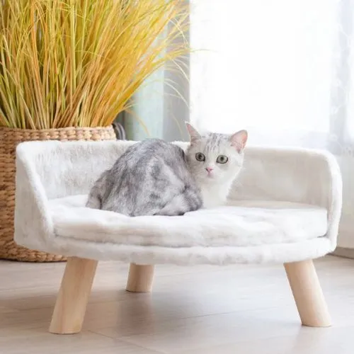 canapé pour chat surélevé luxe