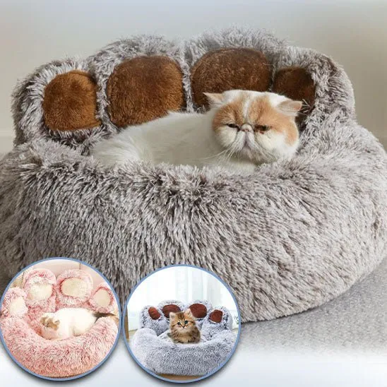 Coussin chat - gris en forme de patte d'ours