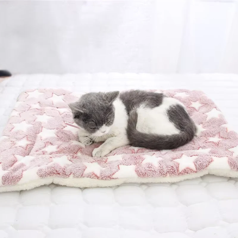 Couverture pour chat - Douce et confortable
