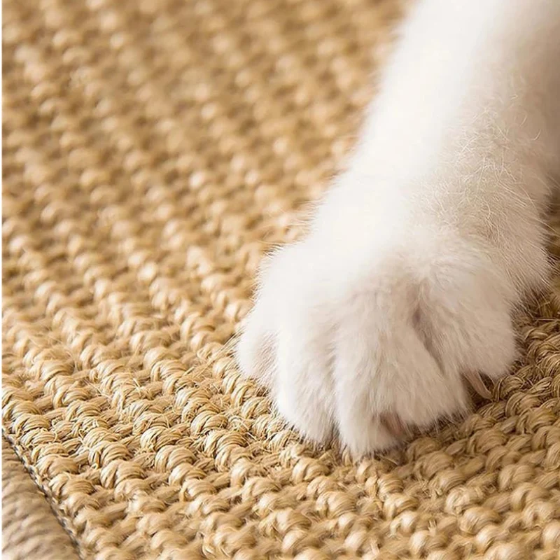 Griffoir pour chat - Paws Scratch