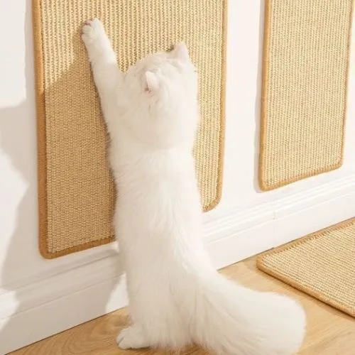 Griffoir pour chat - Paws Scratch