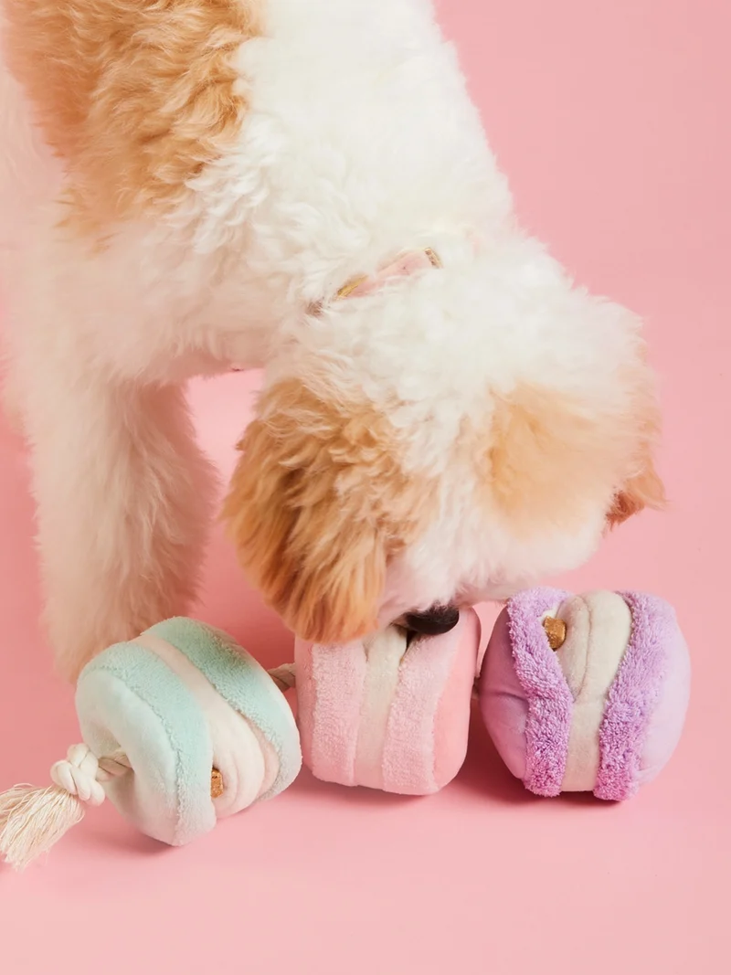 Jouet d'occupation pour chien - Macarons ❤️ - The Foggy Dog