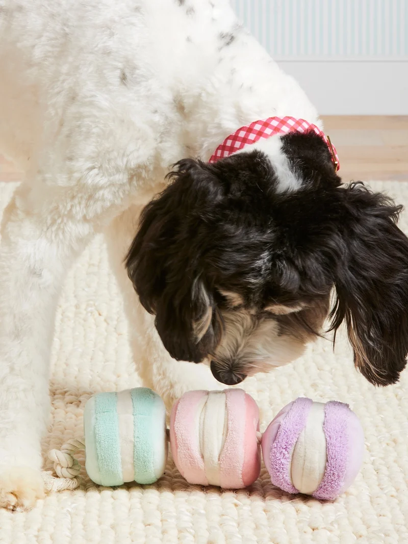Jouet d'occupation pour chien - Macarons ❤️ - The Foggy Dog