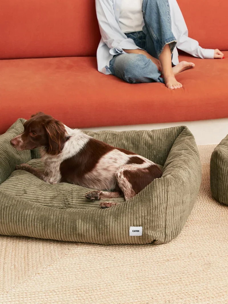 Panier pour chien Snozy - Velours côtelé vert - Cafide