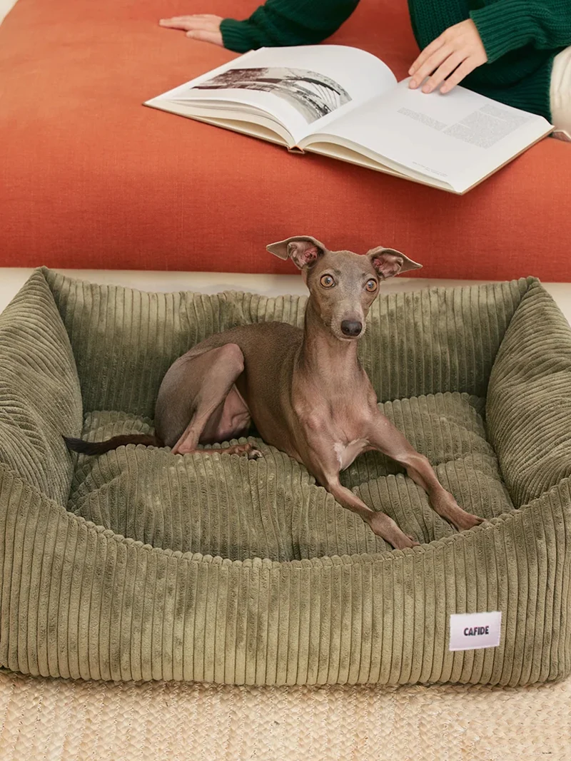 Panier pour chien Snozy - Velours côtelé vert - Cafide