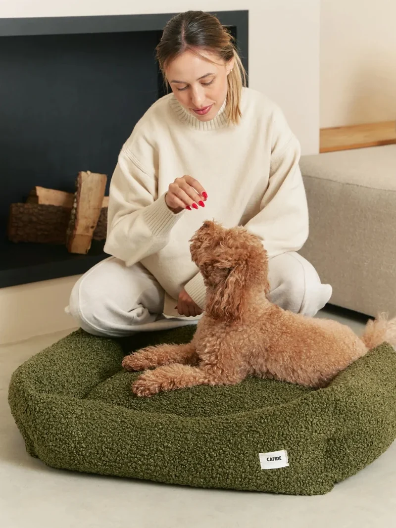 Panier pour chien Snozy - Bouclette Vert - Cafide