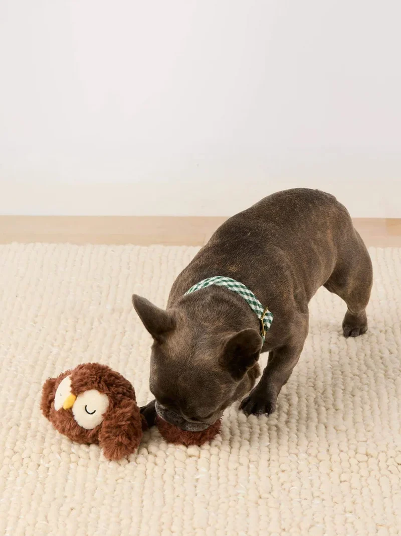 Peluche pour chien - Chouette 🦉 - The Foggy Dog