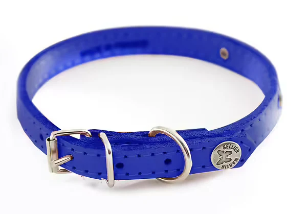 Martin sellier - Chien - Collier