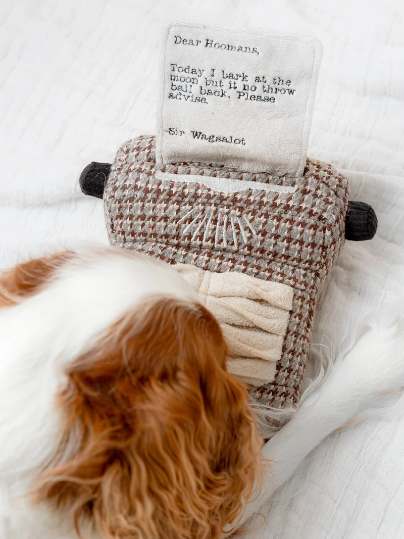 Jeu d'occupation pour chien - Machine à écrire 📜 - Lambwolf Collective (Copie)
