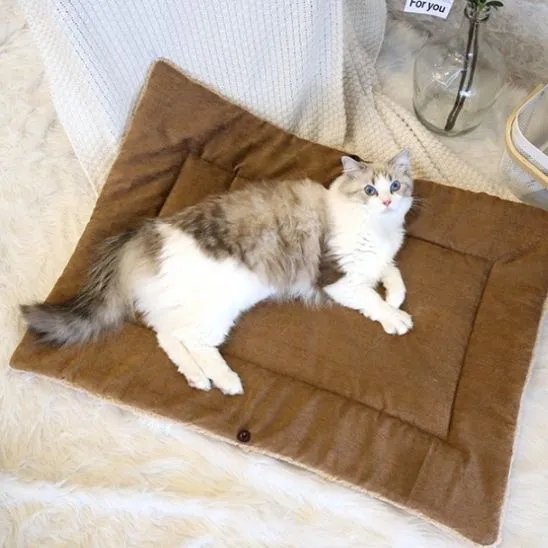 lit pour chat |MULTIDODO
