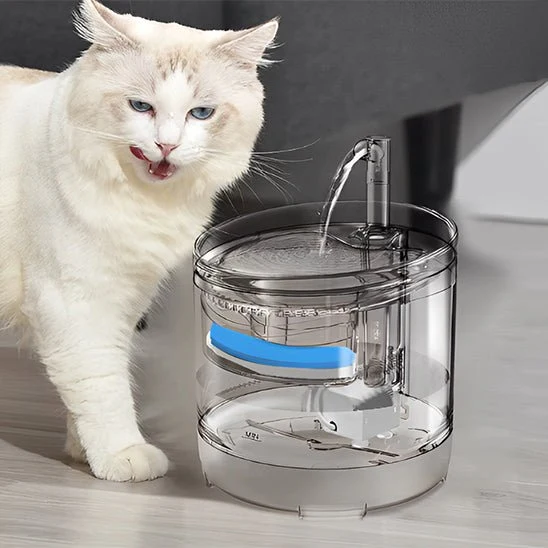 fontaine eau chat | EAUCLEAN
