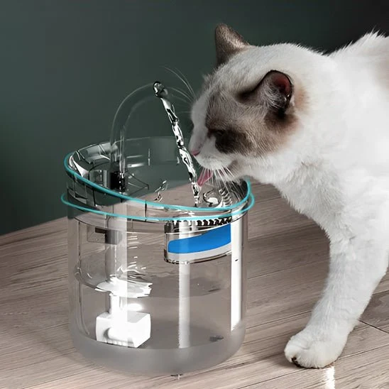 fontaine eau chat | EAUCLEAN