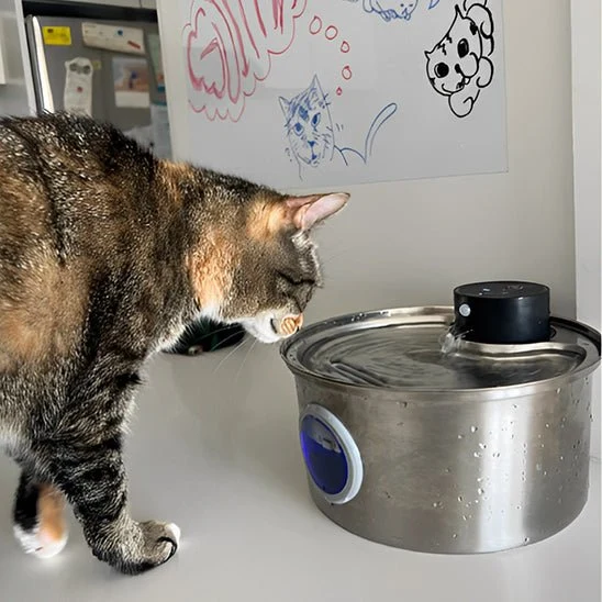 fontaine a eau chat | CORDLESS FONTAINE
