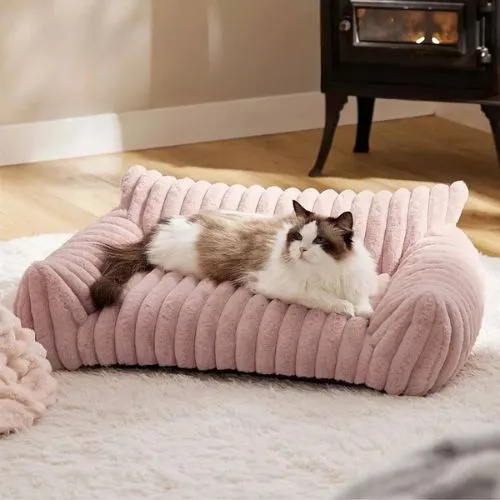 canapé chat luxueux