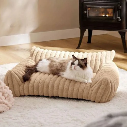 canapé chat luxueux
