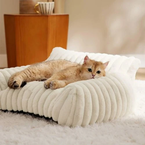 canapé chat luxueux