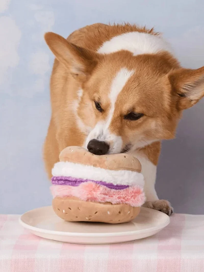 Jouet d'occupation pour chien - Bagel 🥯 - The Foggy Dog