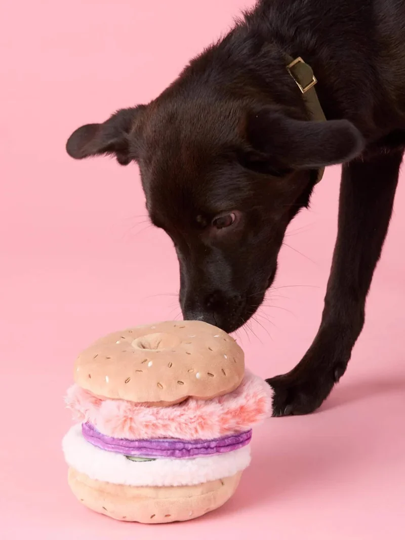Jouet d'occupation pour chien - Bagel 🥯 - The Foggy Dog