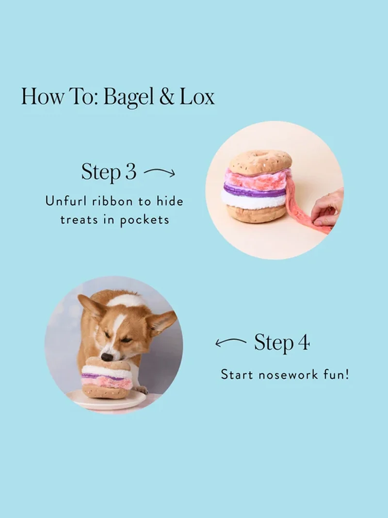 Jouet d'occupation pour chien - Bagel 🥯 - The Foggy Dog