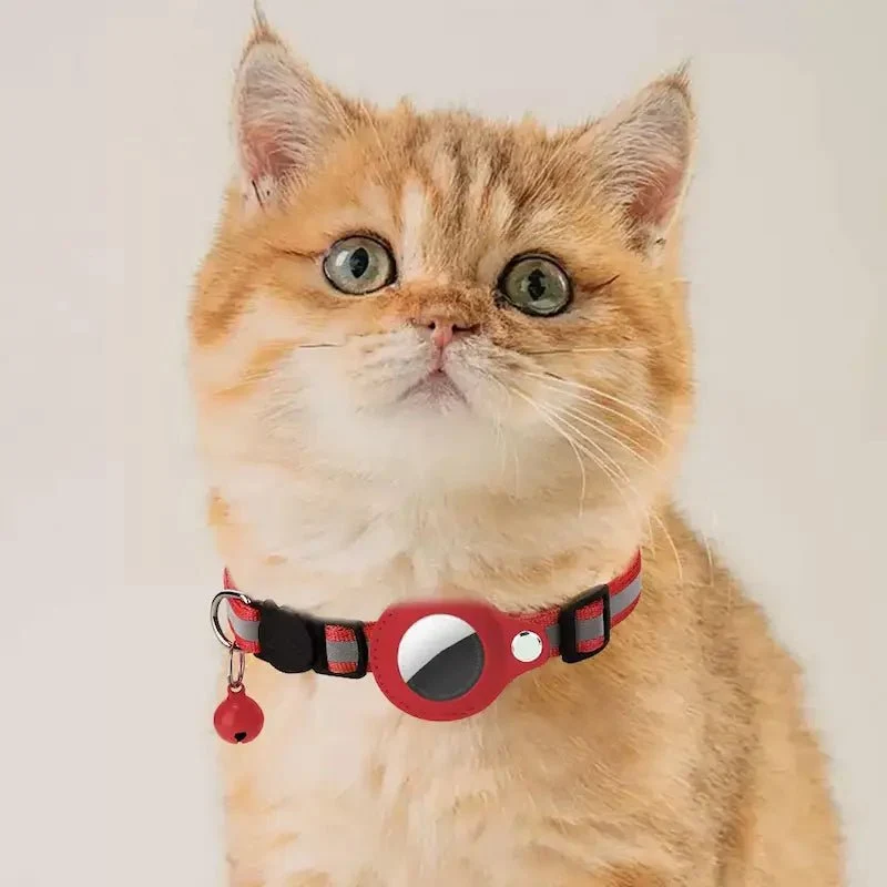 Collier chat AirTag - Suivi GPS en temps réel | FéliTrack