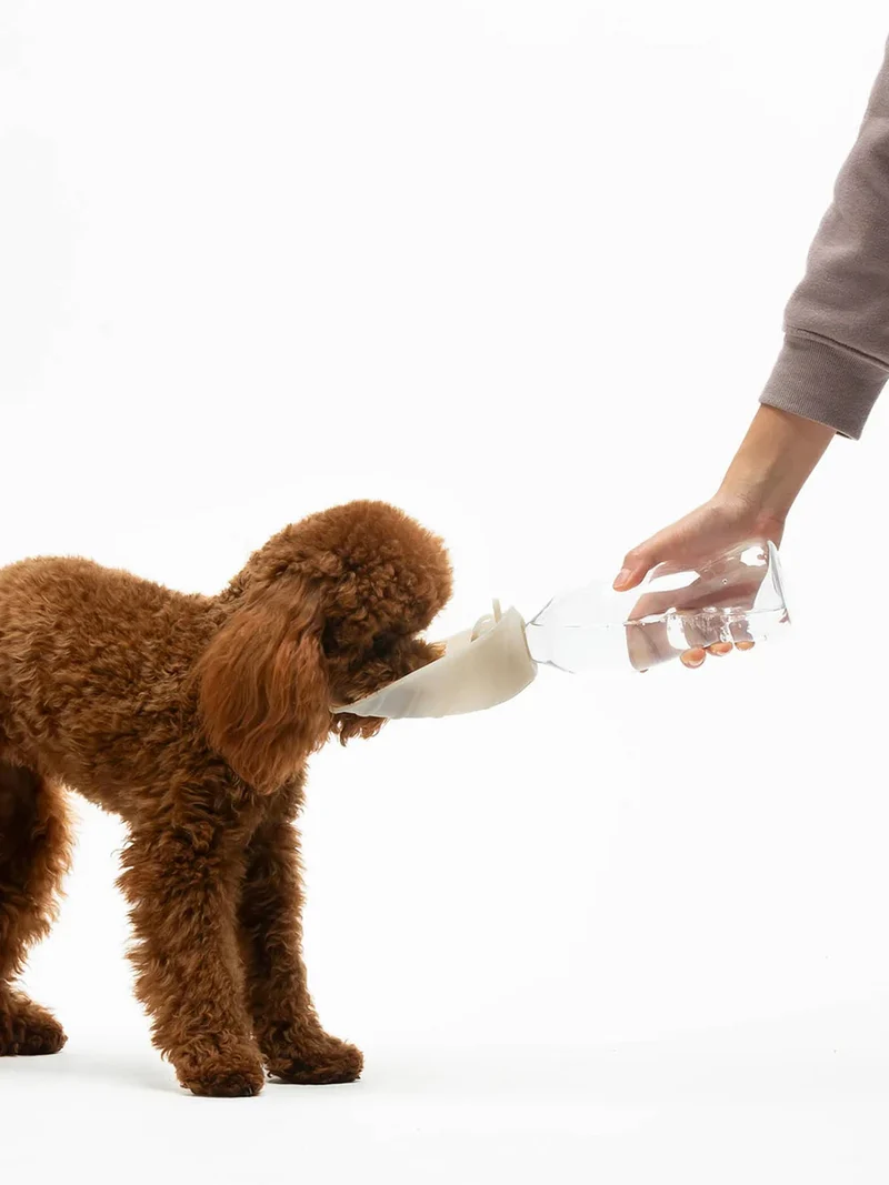 Gourde et distributeur d'eau portable Leaf - Sable - United Pets