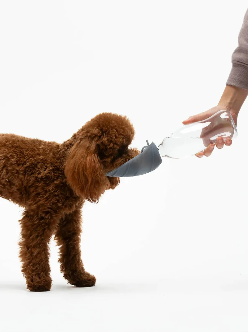 Gourde et distributeur d'eau portable Leaf - Gris - United Pets
