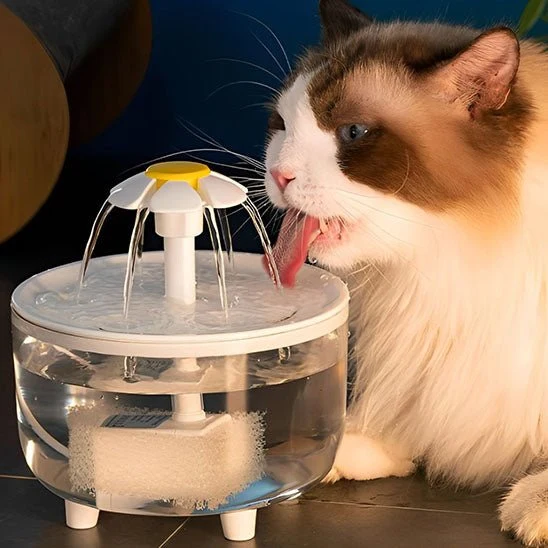 fontaine à eau pour chat | HEALTHY WATER