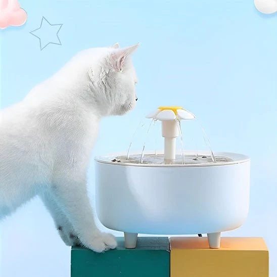 fontaine à eau pour chat | HEALTHY WATER