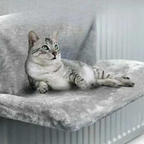 hamac pour chat radiateur | DODOCHO
