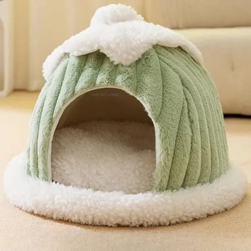 cabane chat forme citrouille