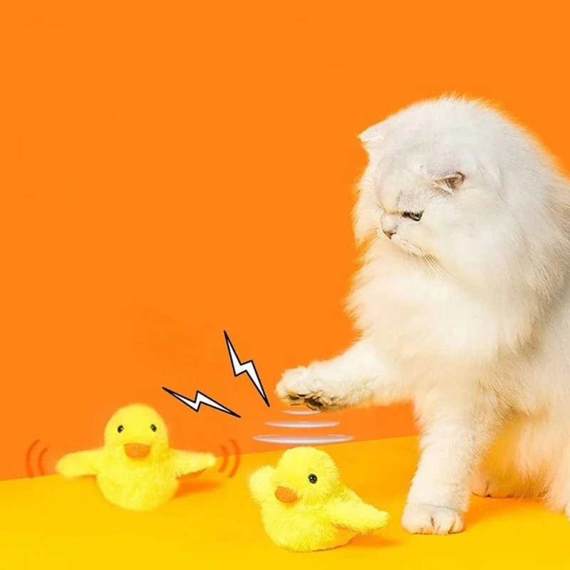 oiseau pour chat | JOUPOUSSIN
