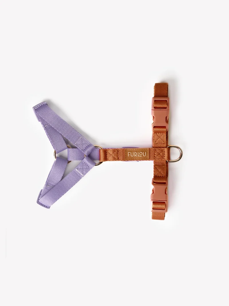 Harnais en H pour chien - Terracotta et Lavande - Furlou